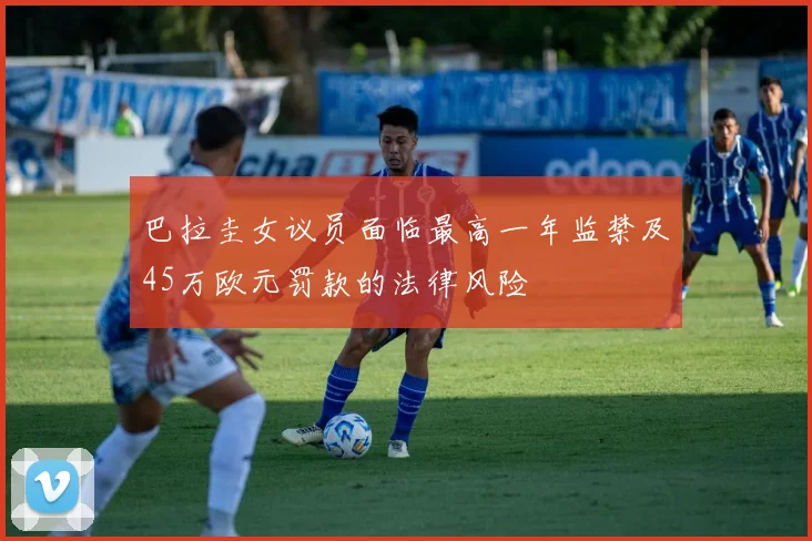 巴拉圭女议员面临最高一年监禁及45万欧元罚款的法律风险